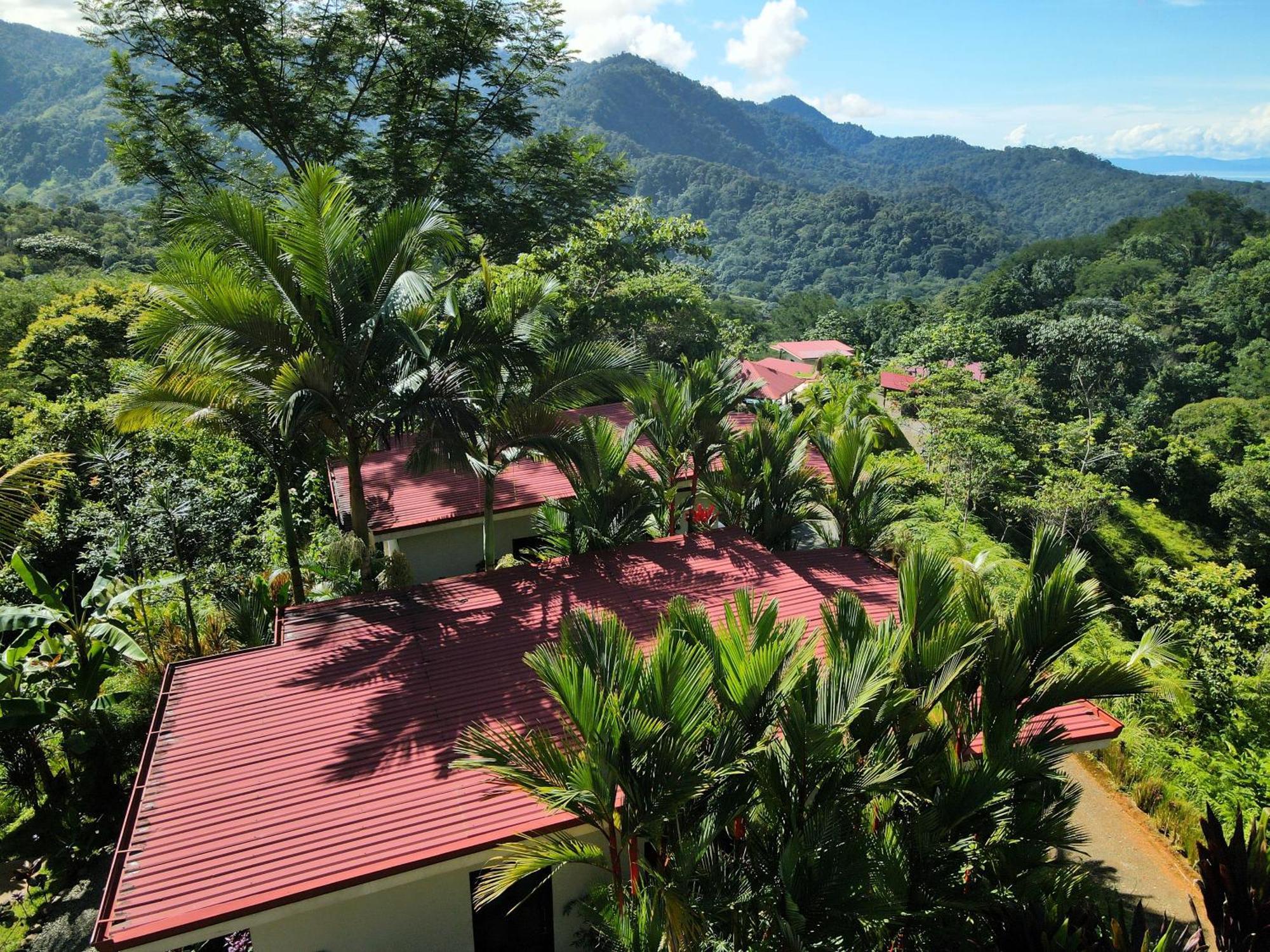 Nature'S Edge Boutique Hotel Uvita Exterior foto